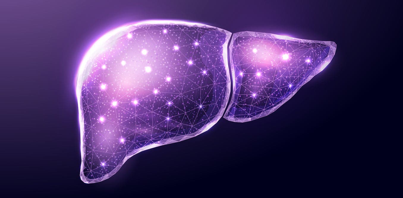 Types of liver transplant