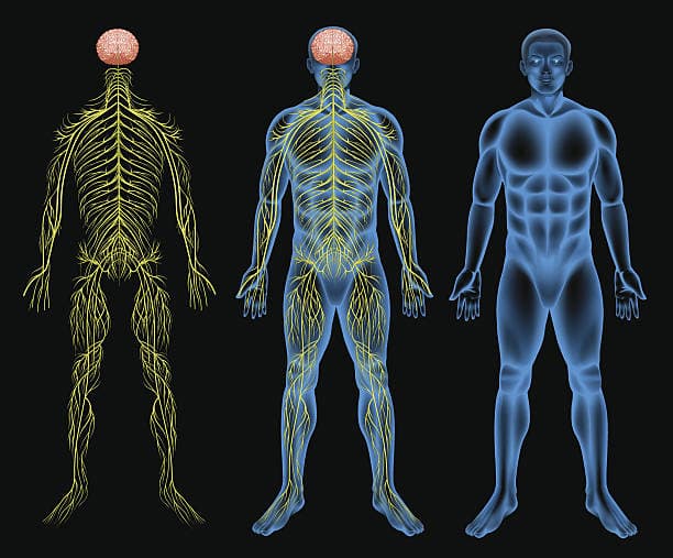 Why is Peripheral nerve surgery performed?