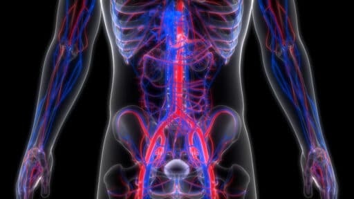 Angiography cost in Iran