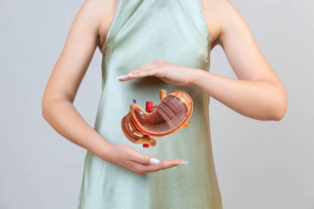 Stage 2: Pureed diet