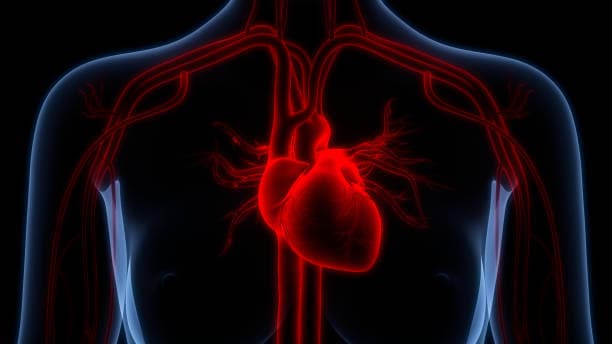 Arrhythmia Surgery