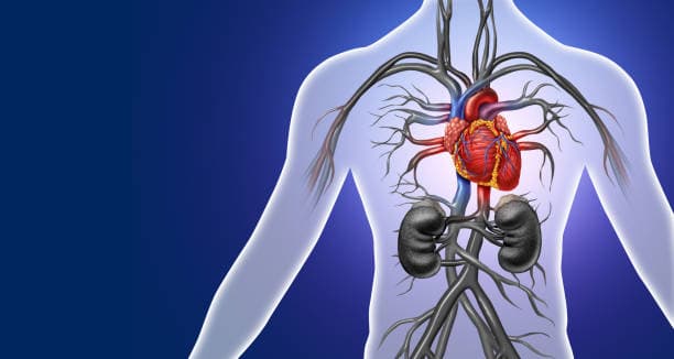 Who needs Congenital heart defect repair?
