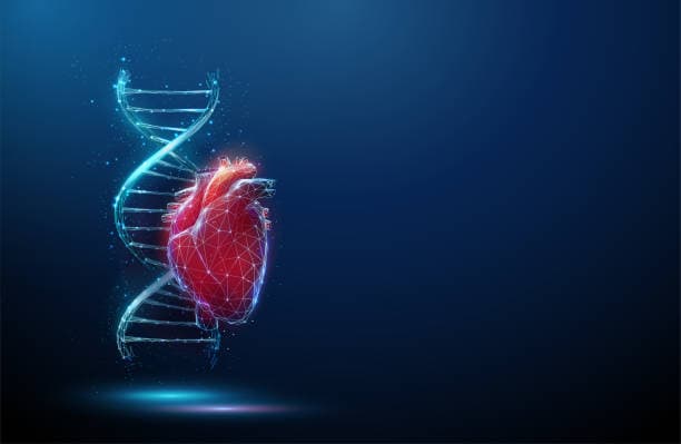 Congenital heart defect treatment options