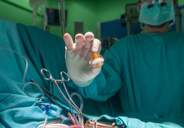 Types of heart valve surgery
