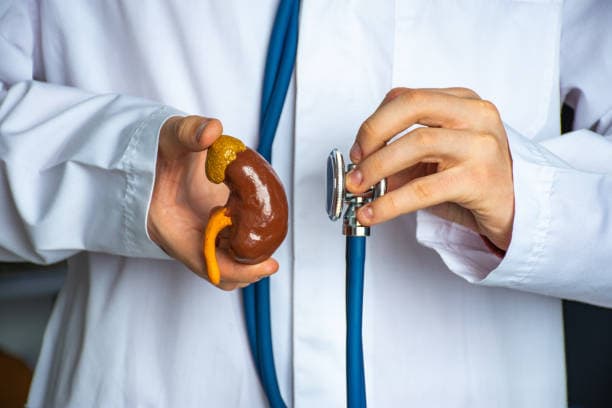 Types of Nephrological Diseases