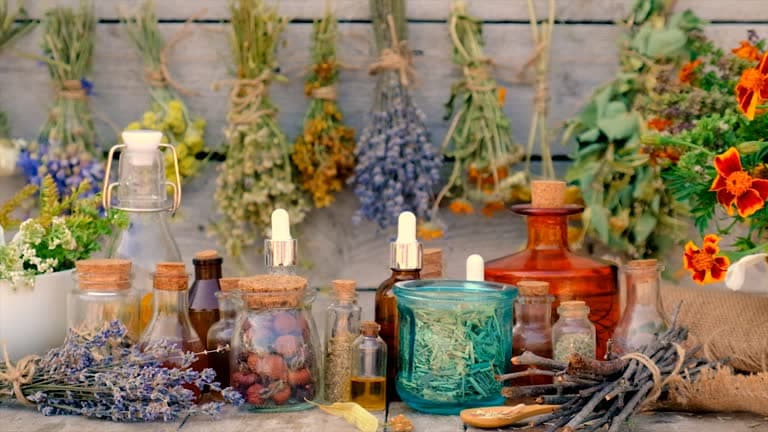 Herbal Medicine 