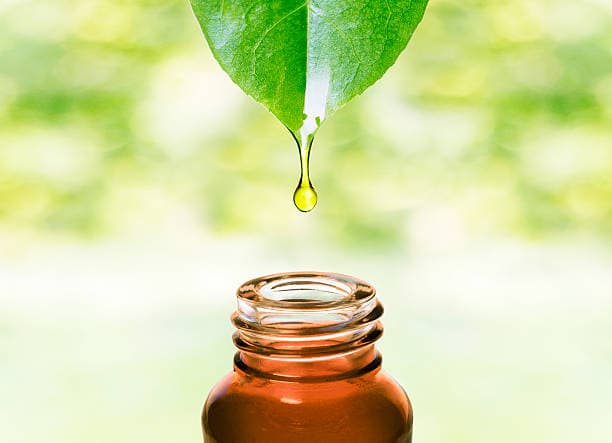 What is Herbal Medicine?