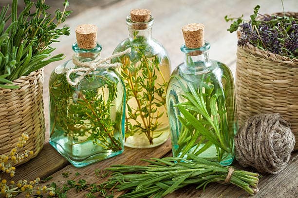 Who should avoid herbal medicines?