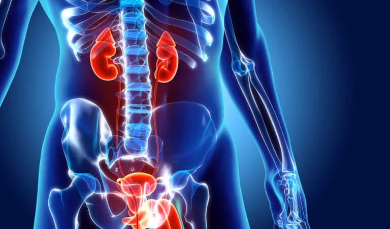 What are Urologic Diseases?