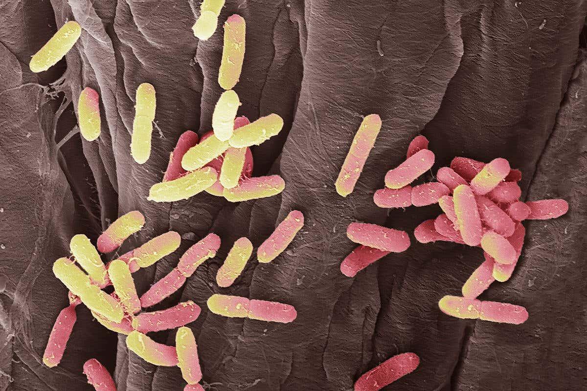 What is a urinary tract infection (UTI)? 
