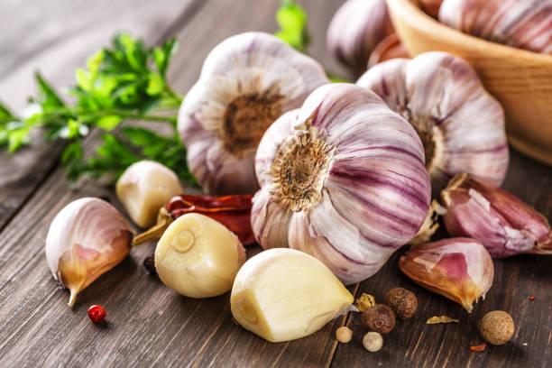 Allium sativum