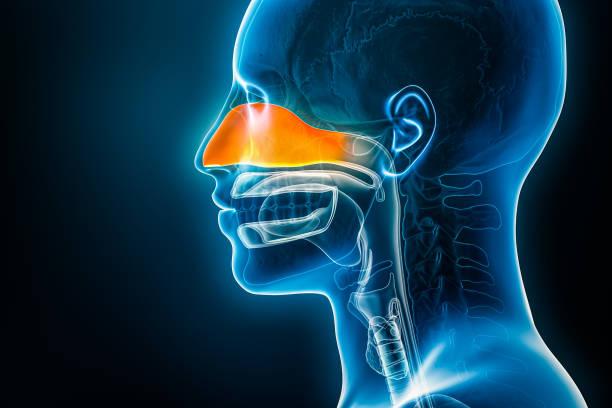 What are the types of sinusitis? 