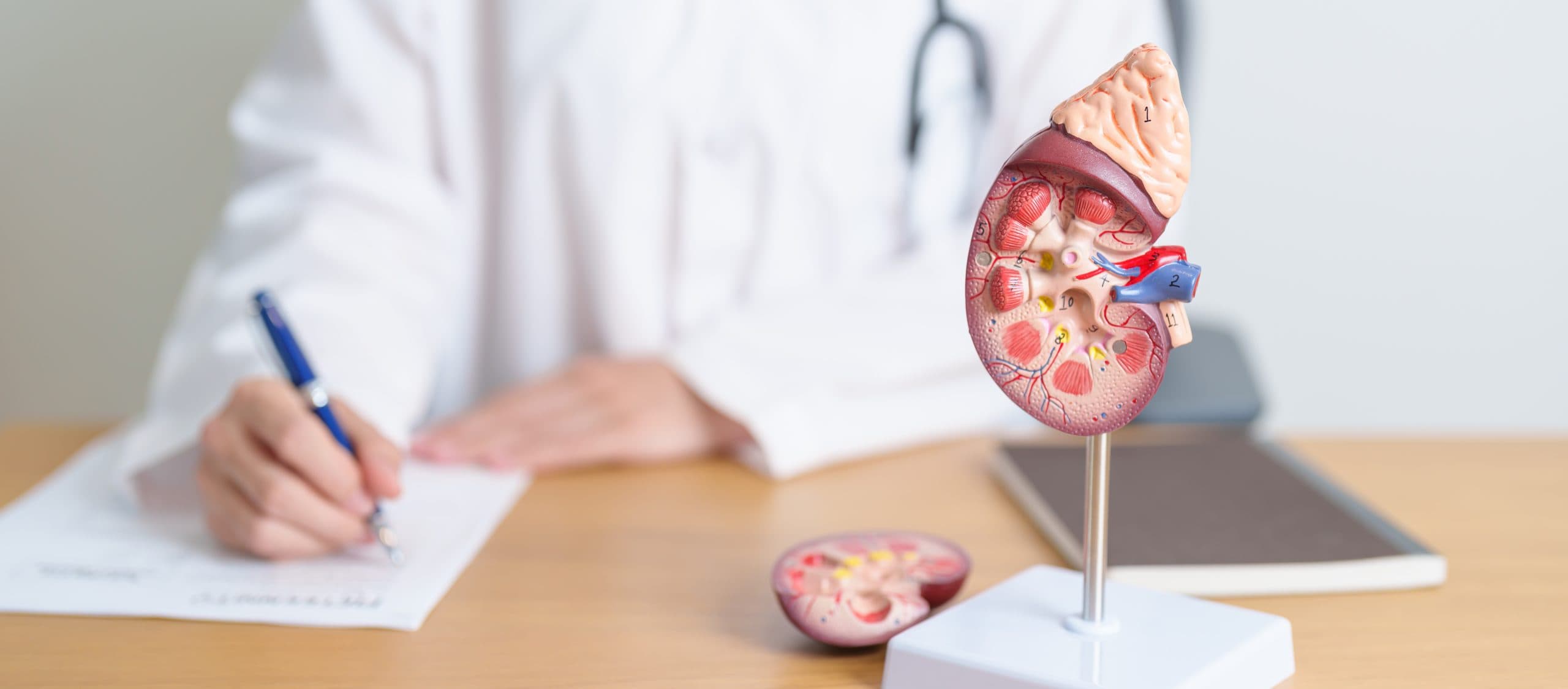 What are Pediatric Urology Conditions?