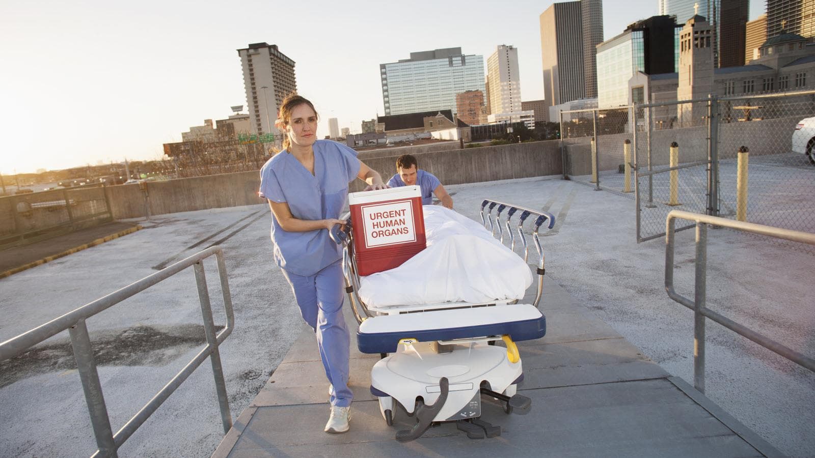 Organ Transplant in Iran
