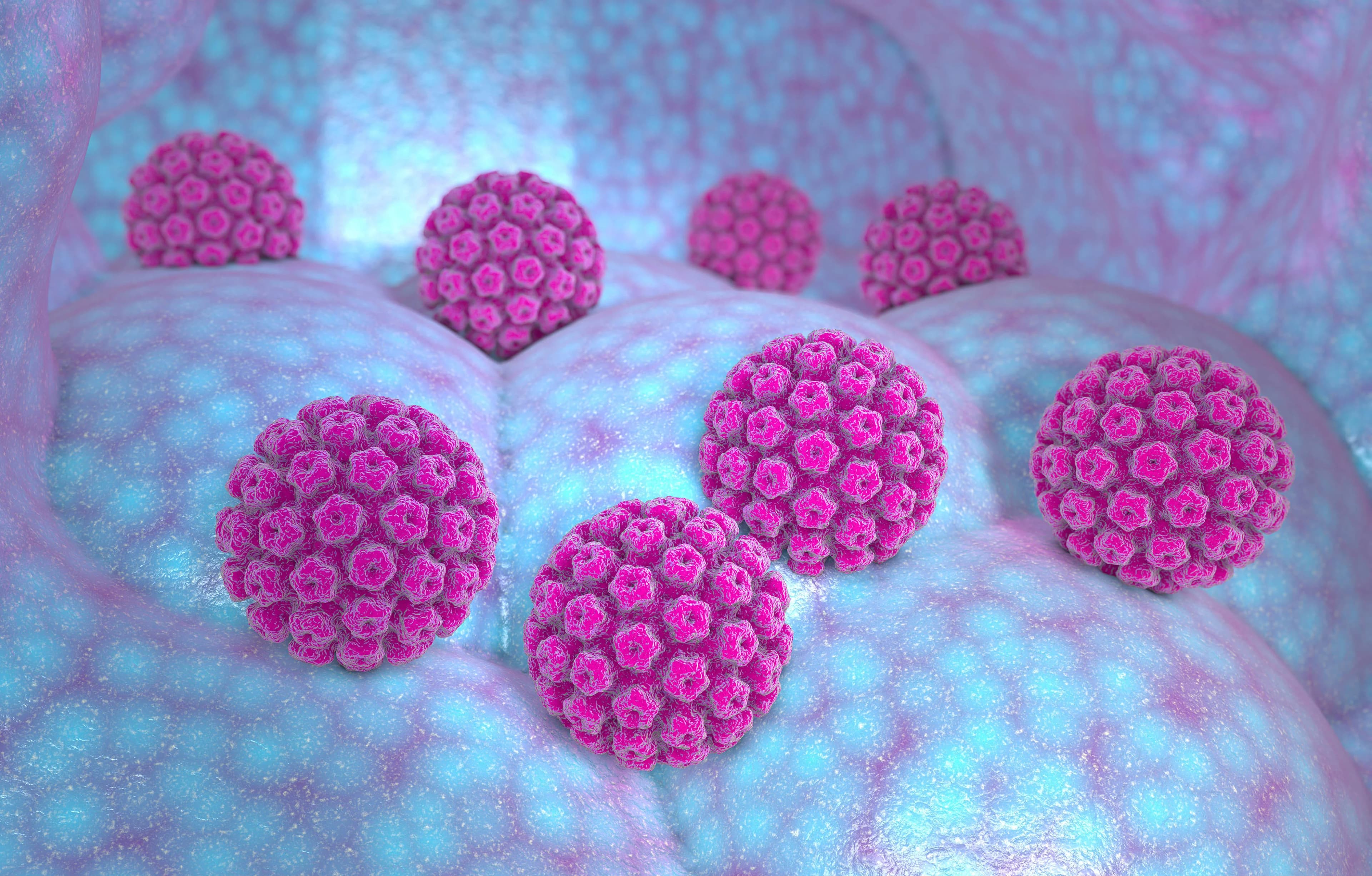 What is HPV?