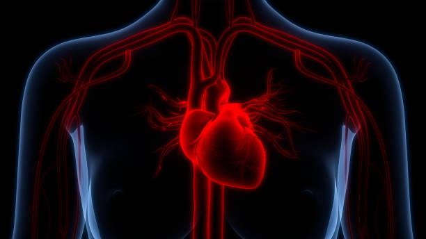 Arrhythmia Surgery