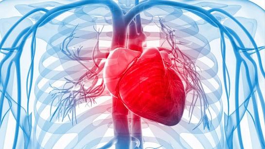 Congenital heart defect repair