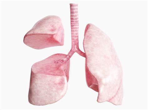 Why might I need a lobectomy?