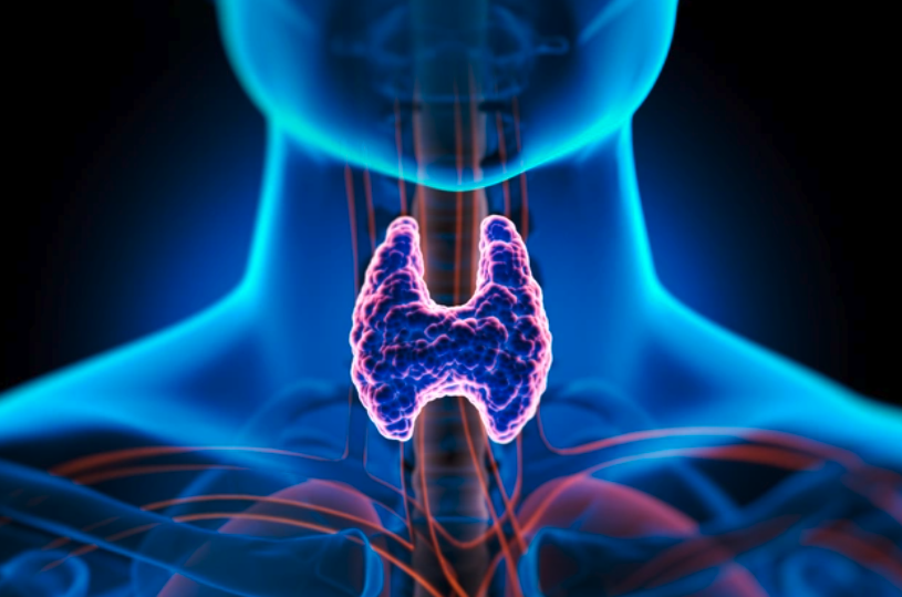 What happens during a laryngectomy?