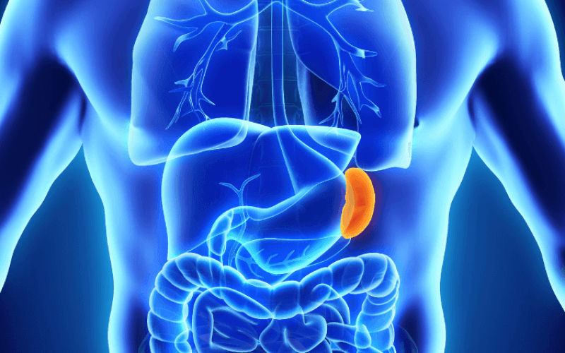 Why would I need to have my spleen removed?