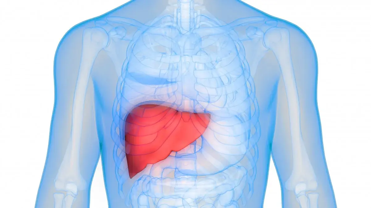 Who needs a Liver Transplant?