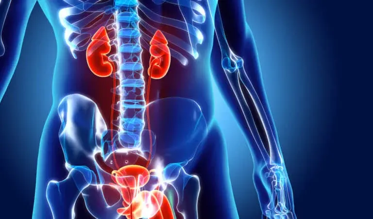 What are Urologic Diseases?