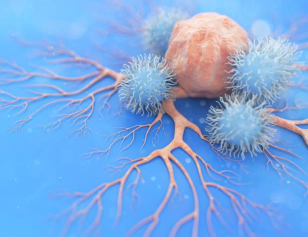 What is Immunotherapy? 