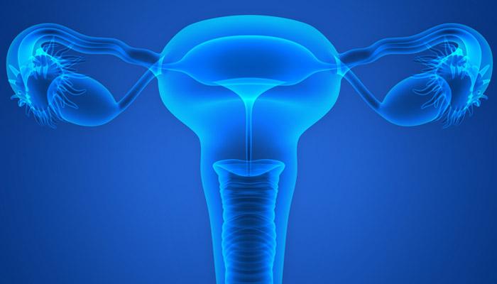 What are the Types of Hysterectomy?