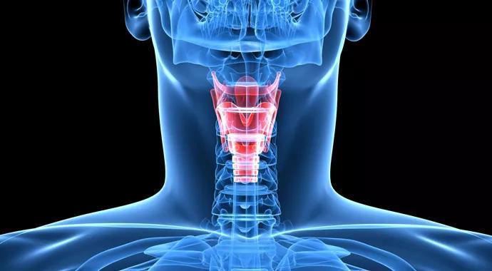 What is an HME?
