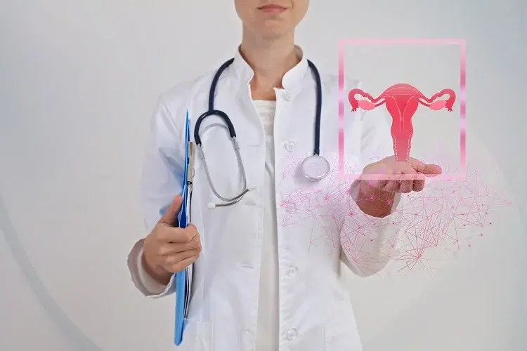 What is the Definition of Obstetrics & Gynecology?