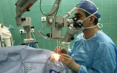 Para-clinics