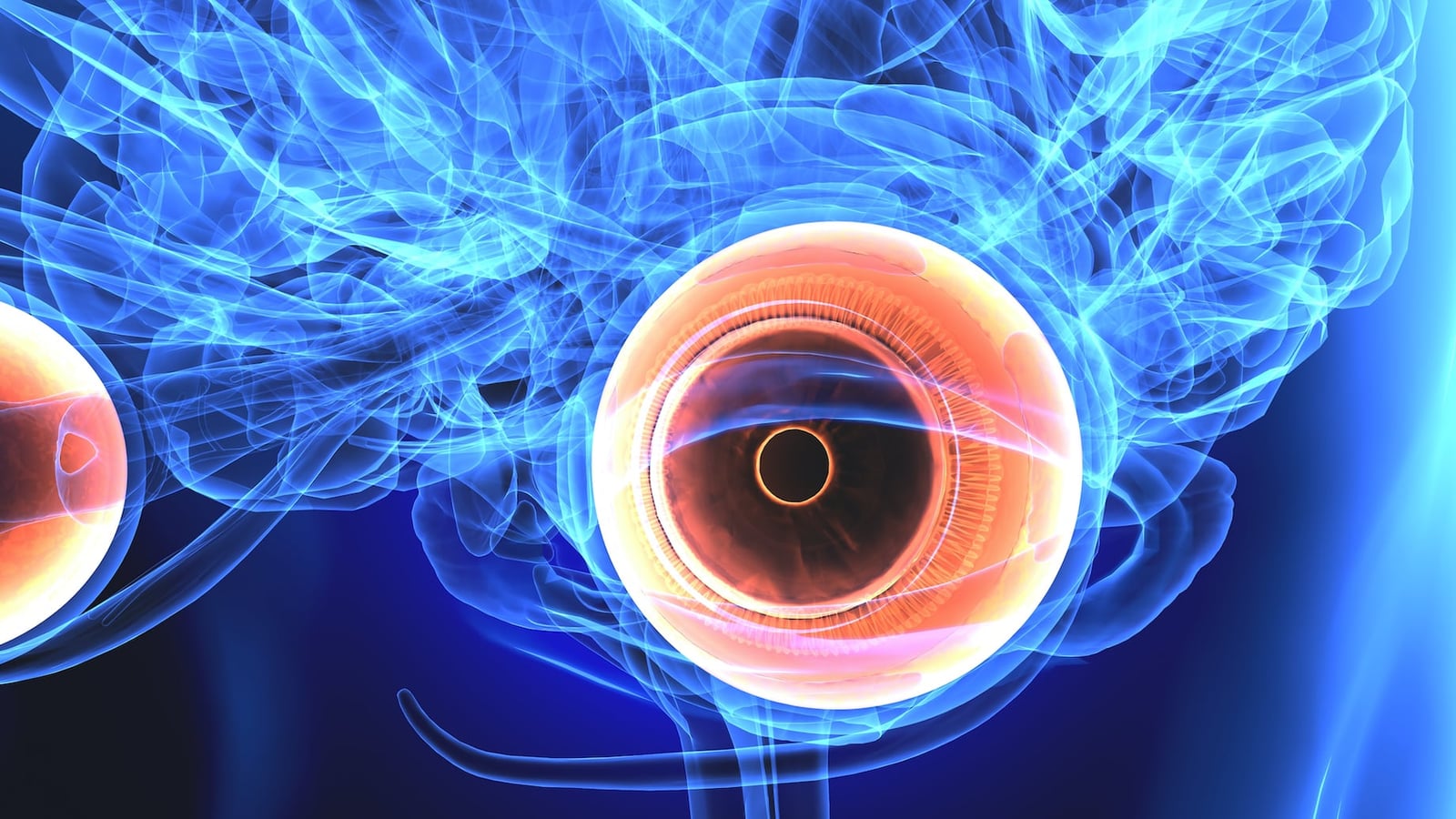 What conditions does Neuro-ophthalmology treat?
