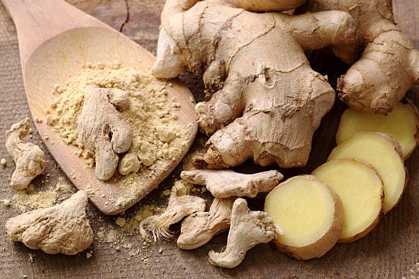 Zingiber officinale