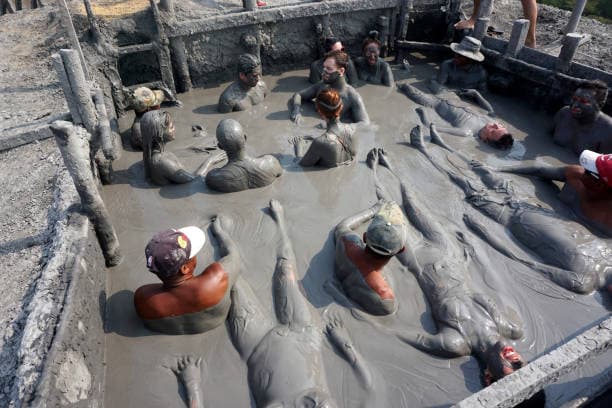 What goes on in a mud bath?