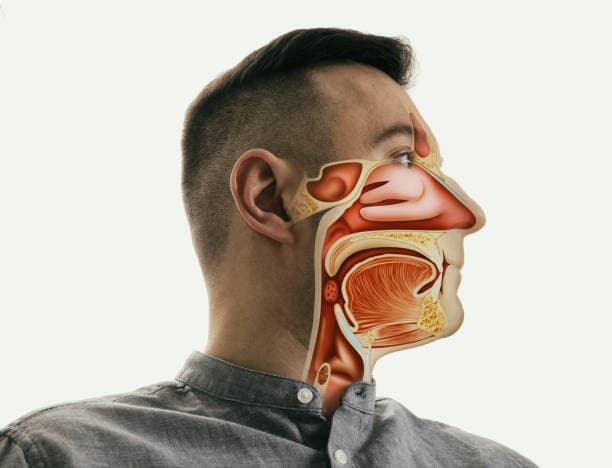 What happens during turbinate reduction surgery?