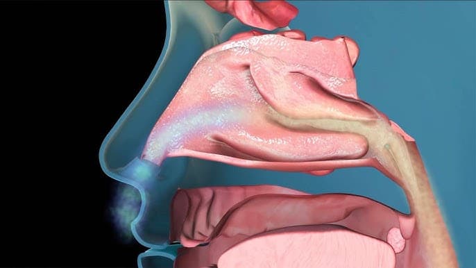 Which conditions does a UPPP Surgery help?