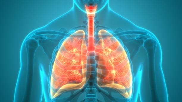 Can chronic bronchitis be prevented?