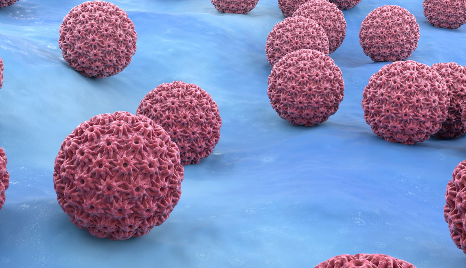 What are the symptoms of HPV?