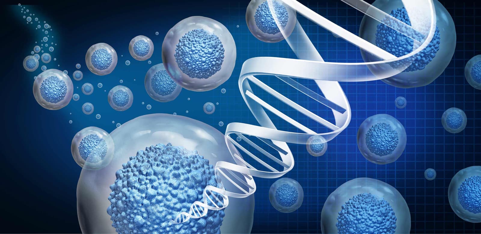 Pros & cons of stem cell transplant