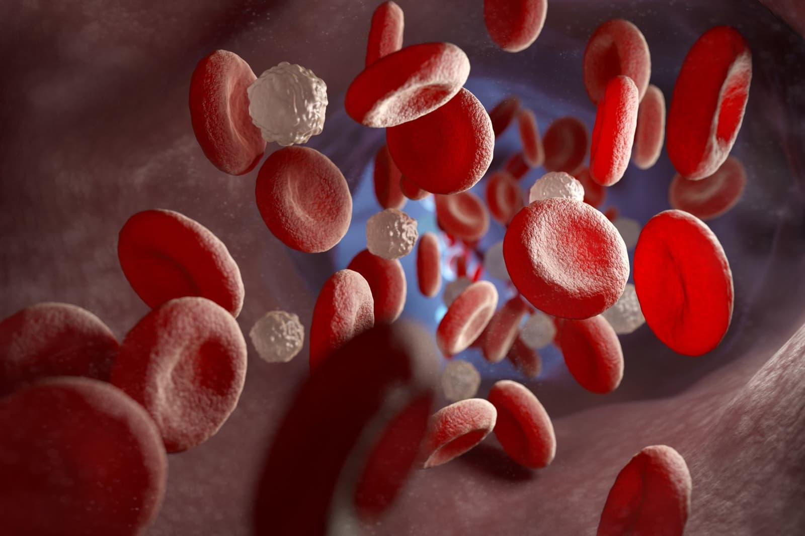 Stem Cell Transplant vs. Bone Marrow Transplant: What’s the Difference?