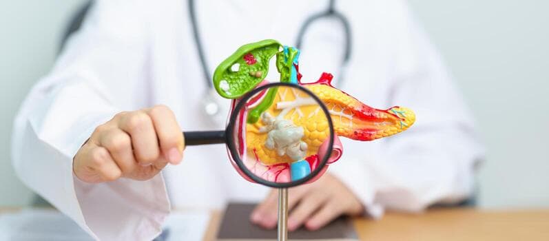 Common pancreatic problems and digestion