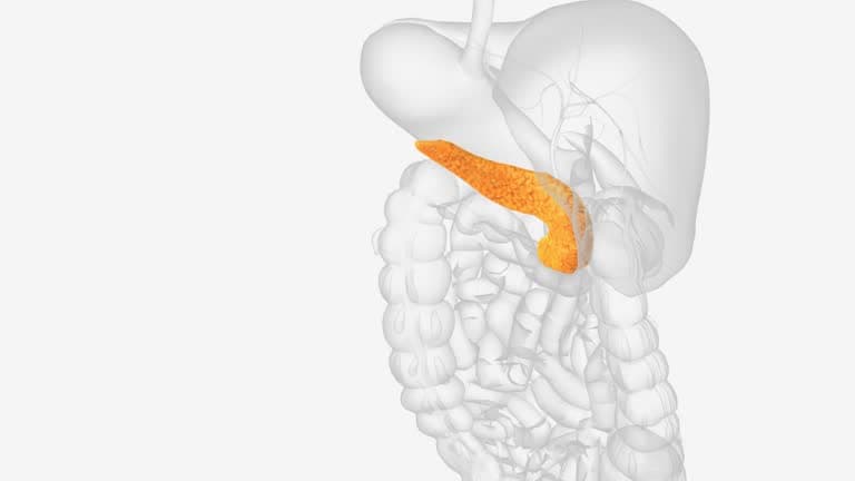When to see a doctor for your pancreas?