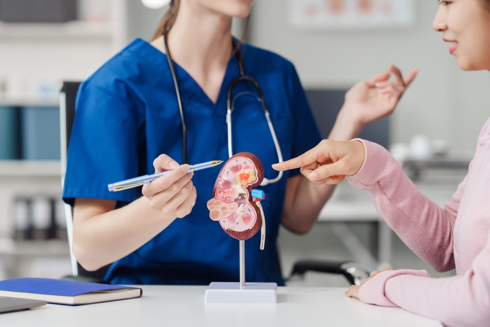What does a nephrologist do?