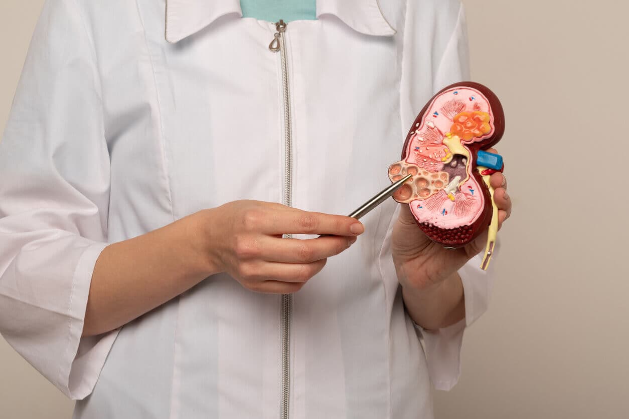 What is a nephrologist?