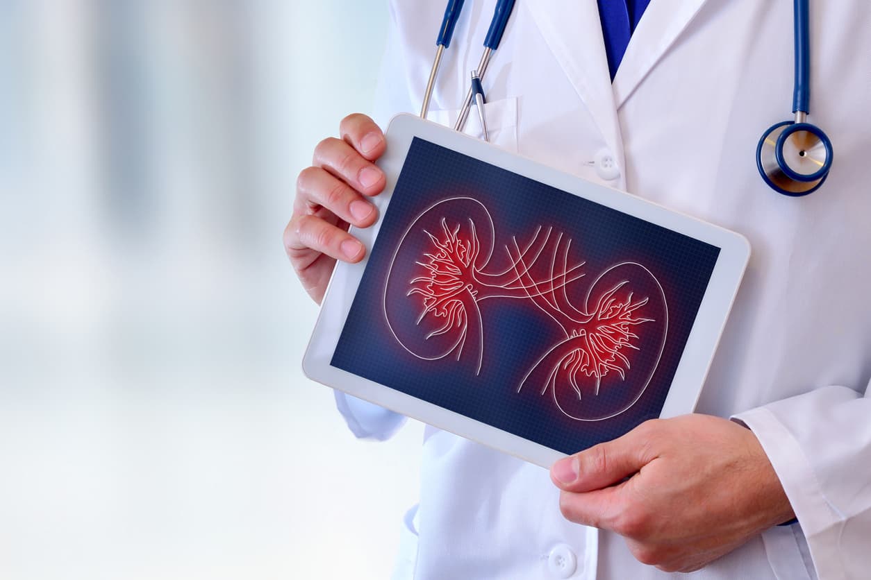 What does a nephrologist do?
