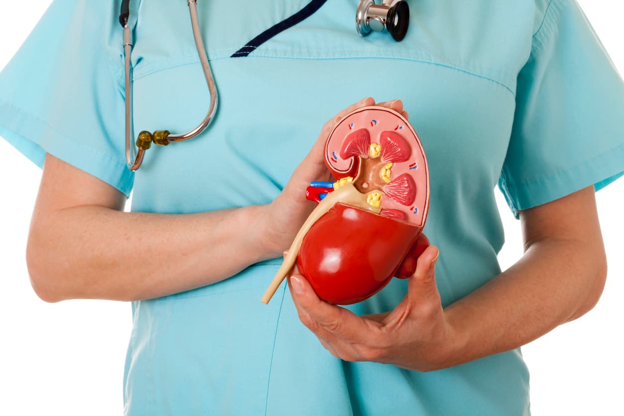 What conditions does a nephrologist treat?