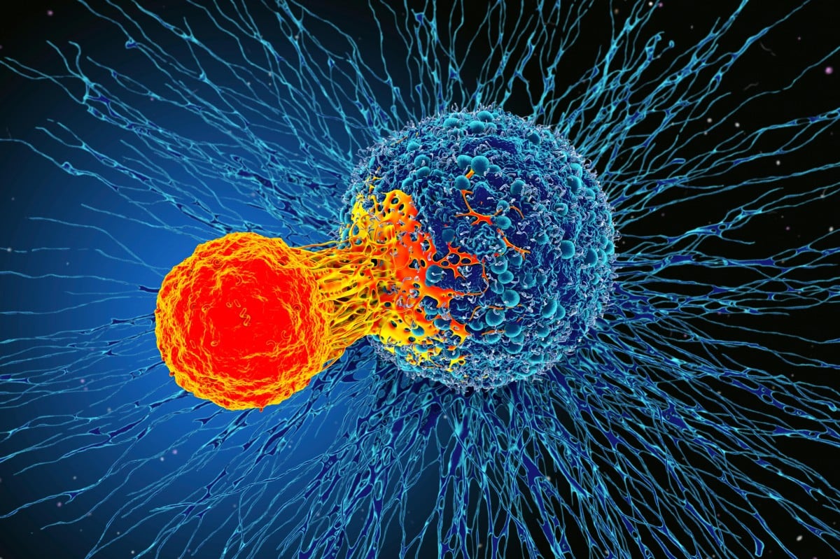 What is immunotherapy?