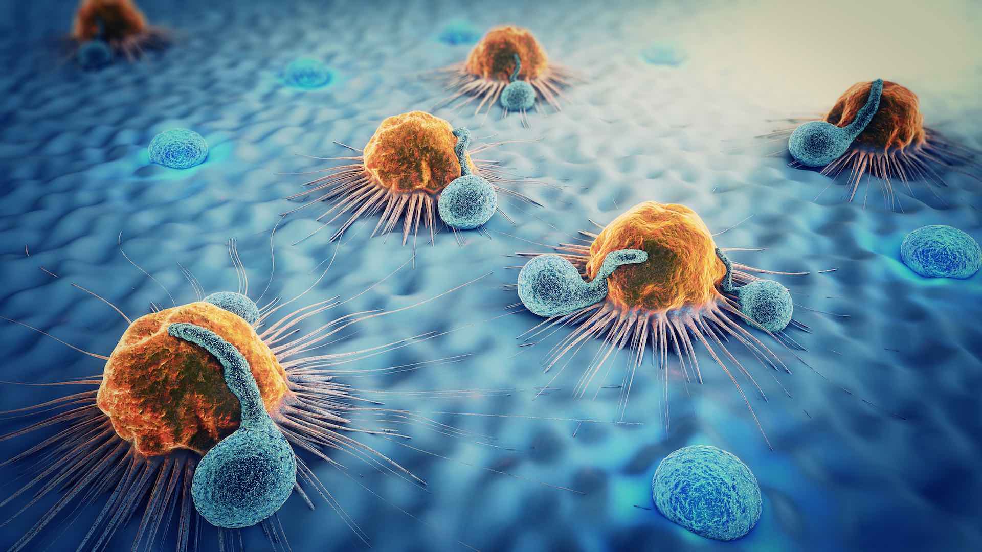 What is an Immunotherapy?