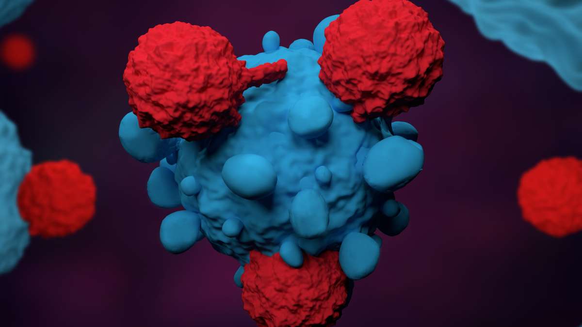 How does immunotherapy affect cancer?