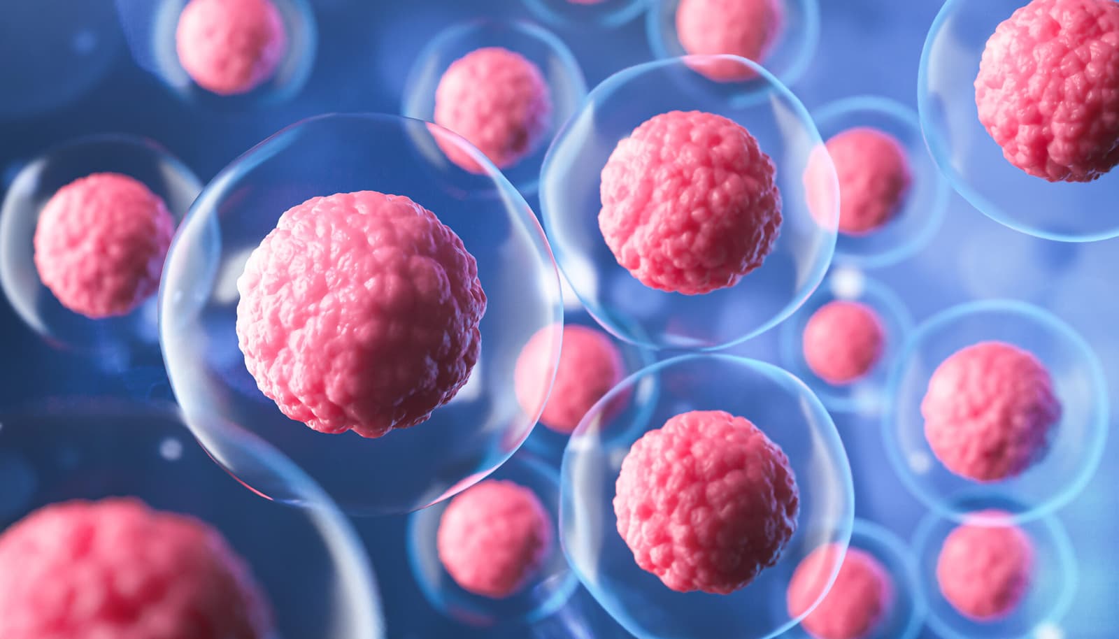 In Which Diseases Can Stem Cell Therapy Be Used?
